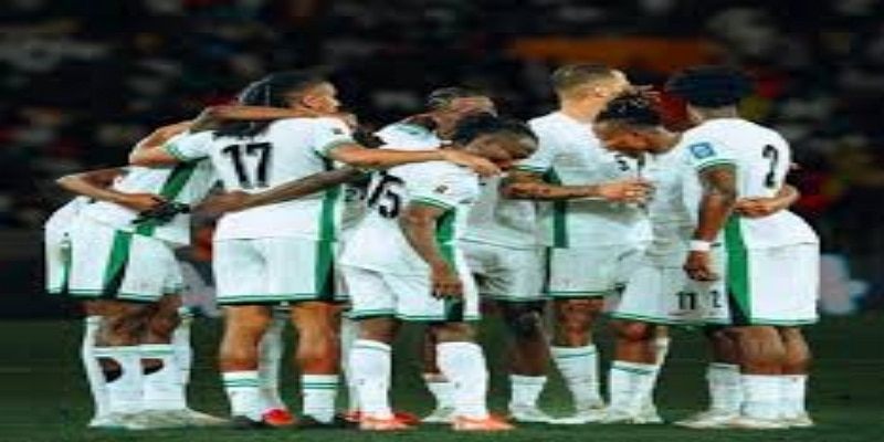 世界杯预选赛形势与关键任务 - 雷速体育