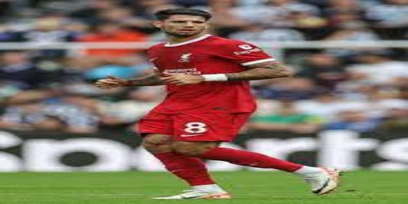 利物浦新赛季征程与戈麦斯角色-雷速体育