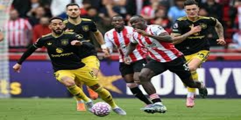 三段短暂的蜜蜂生涯：个体案例背后的系统问题-雷速体育