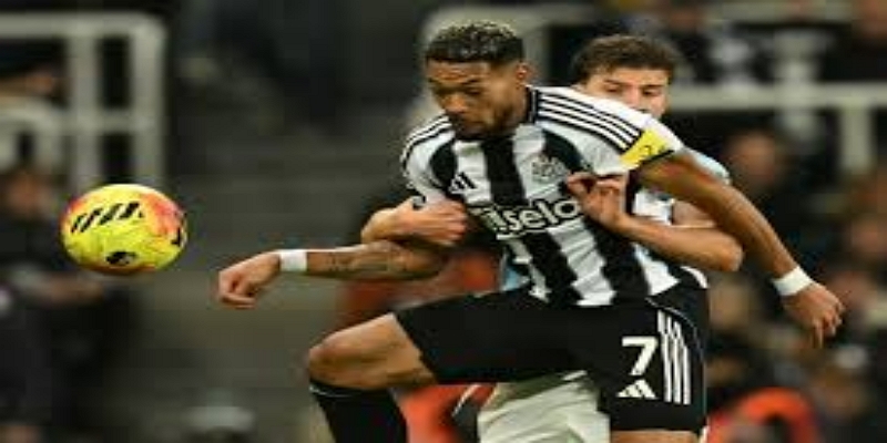 雷速体育观察-行业反响与支持体系 - 雷速体育